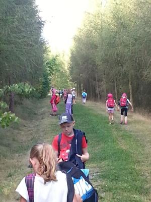 Foto des Albums: Wandertag der 1. und 2. Klasse