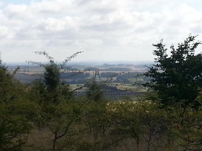 Foto des Albums: Wandertag der 1. und 2. Klasse