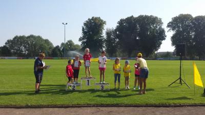 Foto des Albums: Angermünder Sommerlauf, 27.08.2016