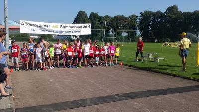 Foto des Albums: Angermünder Sommerlauf, 27.08.2016