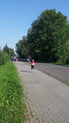 Foto des Albums: Angermünder Sommerlauf, 27.08.2016