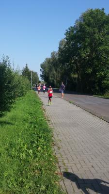 Foto des Albums: Angermünder Sommerlauf, 27.08.2016