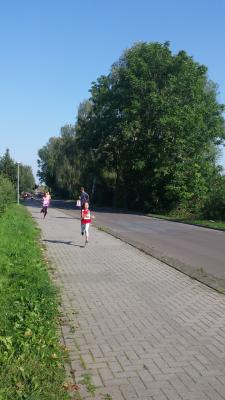 Foto des Albums: Angermünder Sommerlauf, 27.08.2016