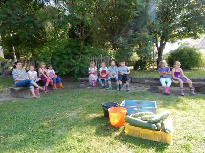 Foto des Albums: Ernte im Schulgarten