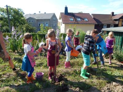 Foto des Albums: Ernte im Schulgarten