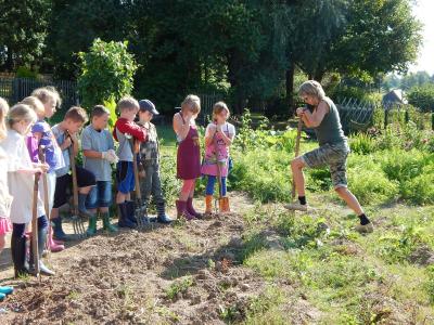 Foto des Albums: Ernte im Schulgarten