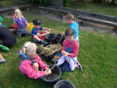 Foto des Albums: Ernte im Schulgarten