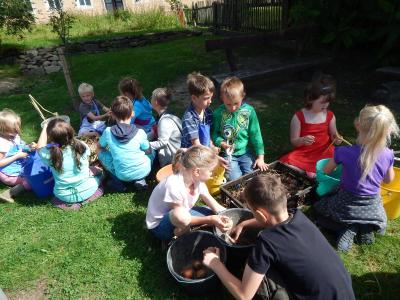 Foto des Albums: Ernte im Schulgarten