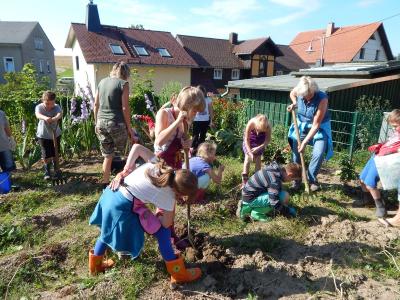 Foto des Albums: Ernte im Schulgarten