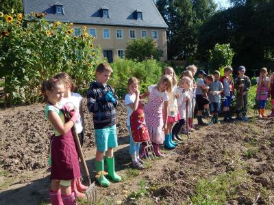 Foto des Albums: Ernte im Schulgarten
