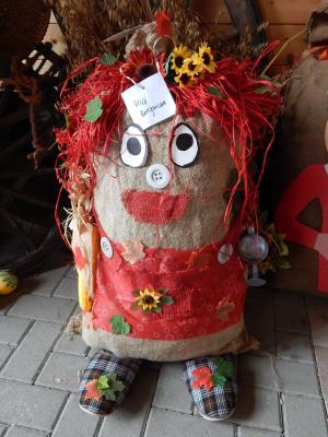 Foto des Albums: Herbstfest Niederottendorf
