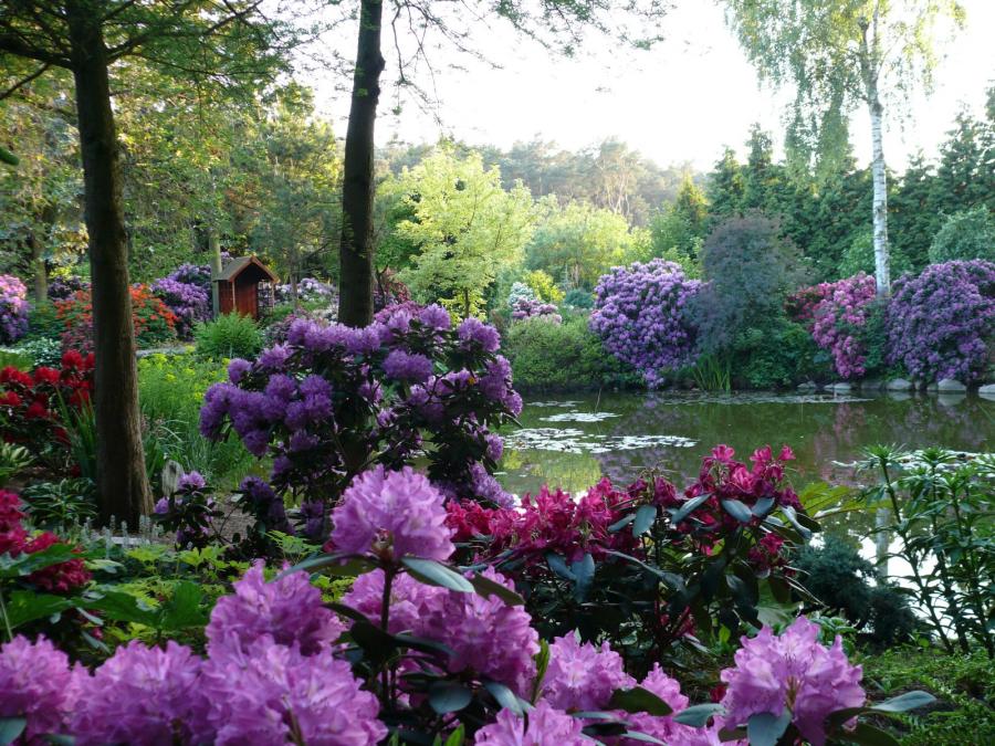 Gartenroute Mecklenburg-Vorpommern - Botanischer Garten ...