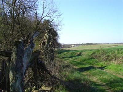 Vorschaubild: Am ehemaligen Postweg