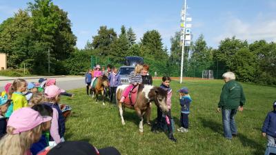 Vorschaubild: Ponyreiten im Kinderland