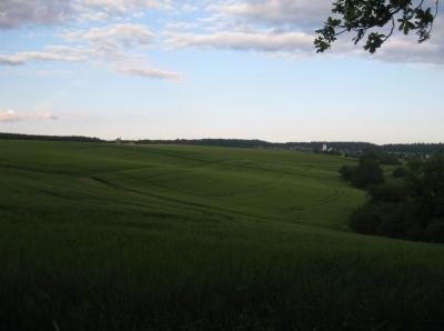 Vorschaubild der Galerie