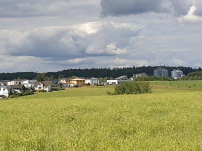 Vorschaubild: Wanderweg in Mörschbach