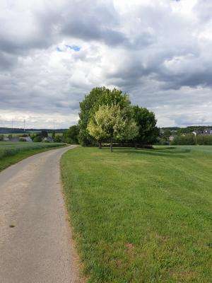 Vorschaubild: Wanderweg in Mörschbach