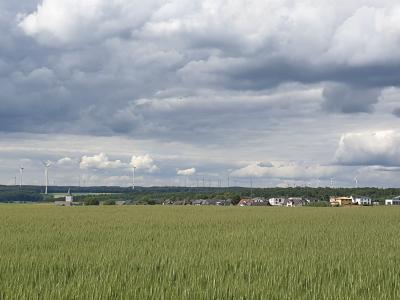 Vorschaubild: Wanderweg um Mörschbach