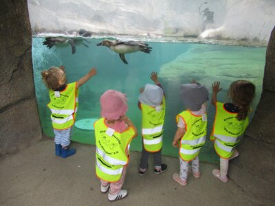 Vorschaubild: Abschlussfahrt in den Frankfurter Zoo