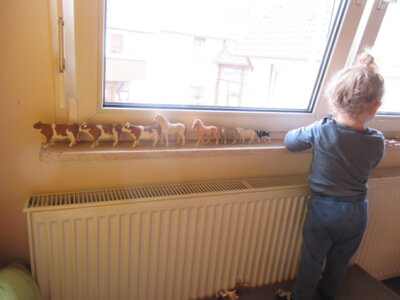 Vorschaubild: Tierischer Zug