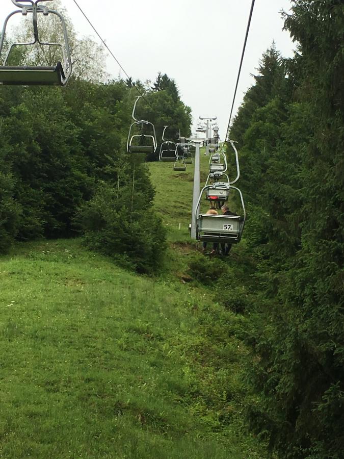Foto der Galerie: Jugendausflug in den Kletterpark nach Immenstadt