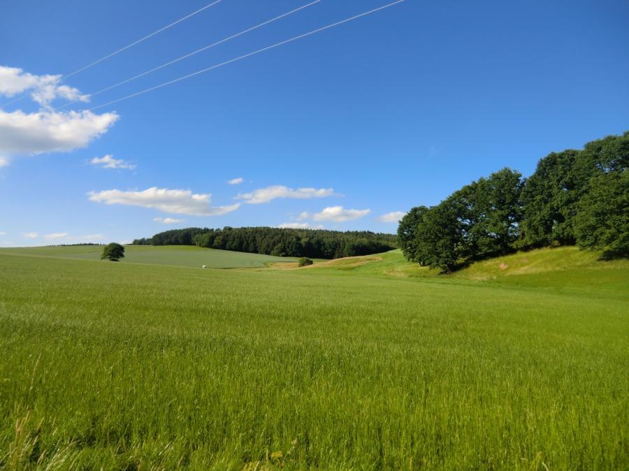 Foto der Galerie: Galerie Rosendorf