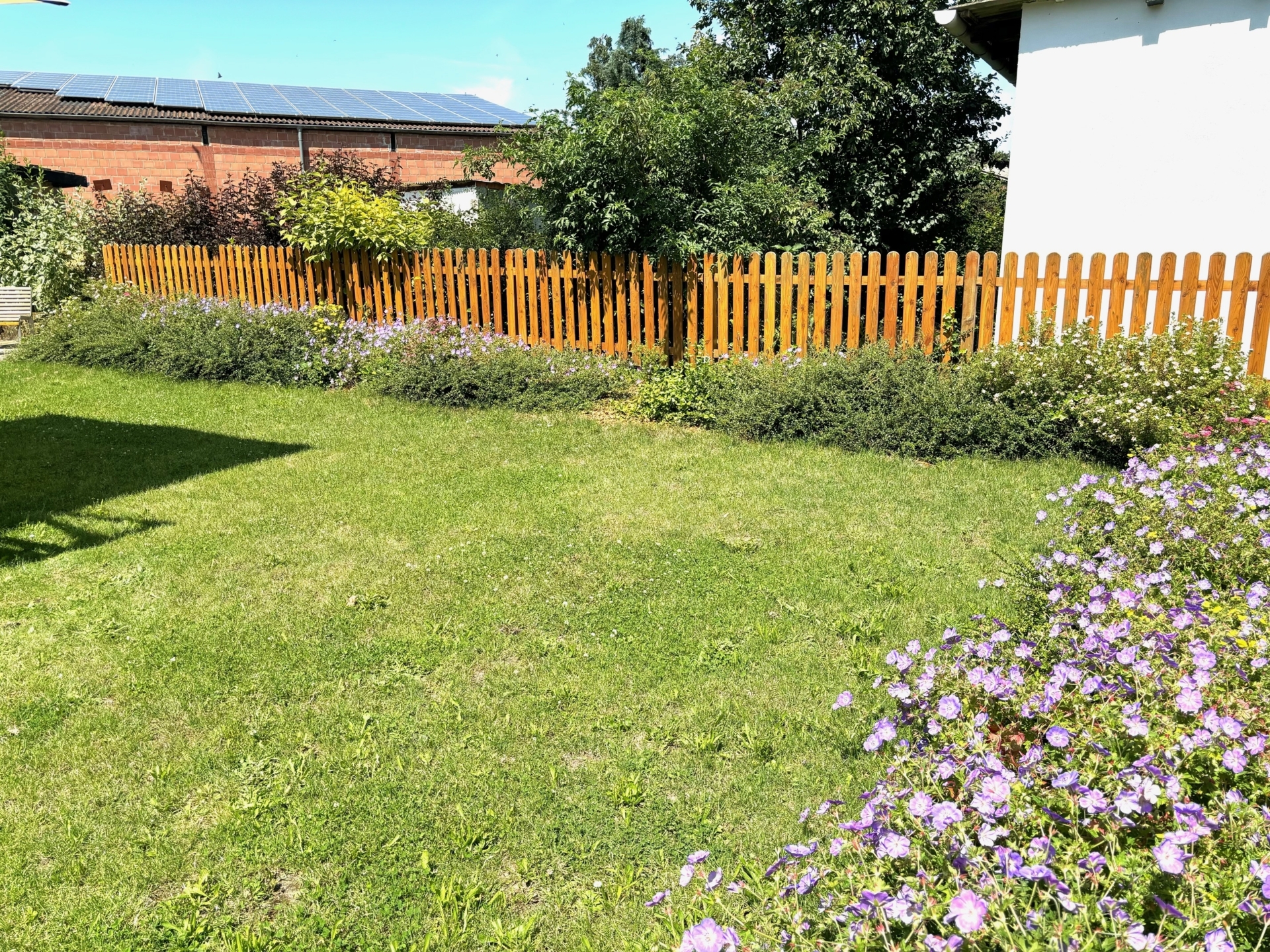 Gr&uuml;nanlage hinter dem Backhaus 