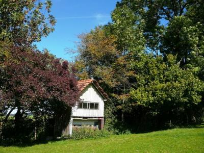 Vorschaubild der Galerie