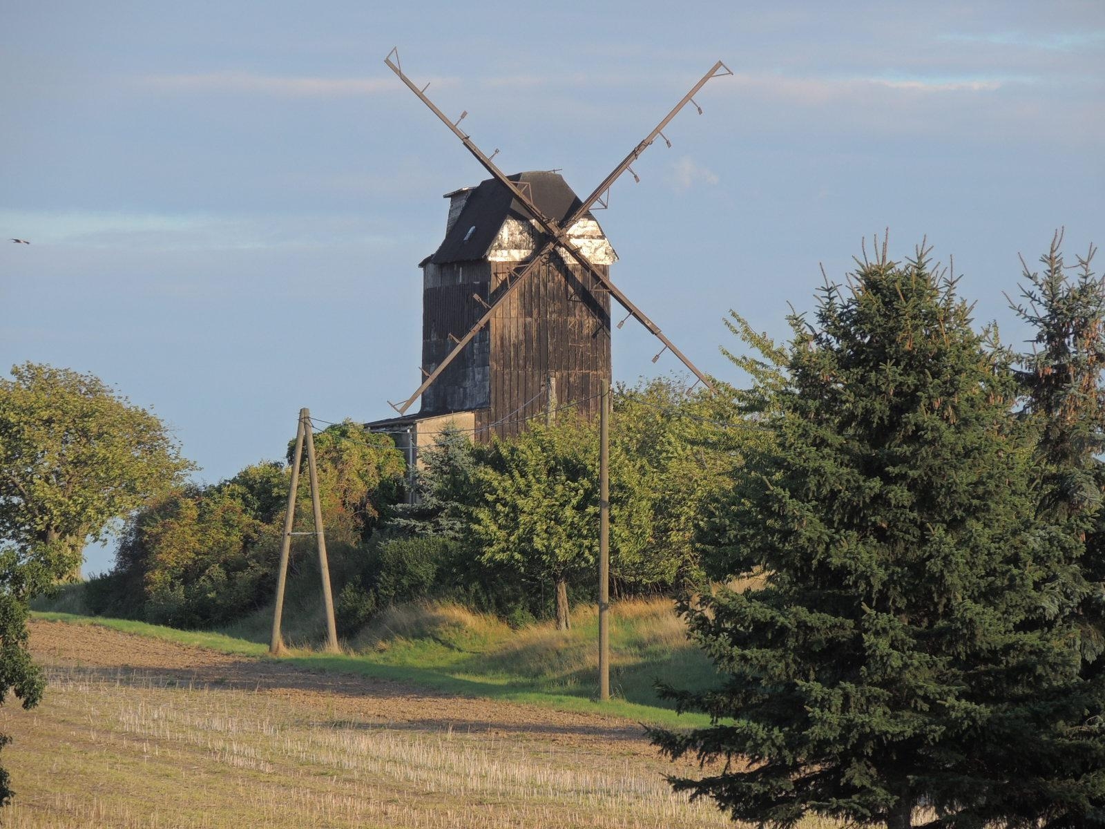 Gatterst&auml;dter Windm&uuml;hle  (Bild vergr&ouml;&szlig;ern)