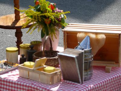 Vorschaubild: Foto: S. Ziehn - Ellrich