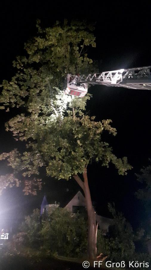 Foto der Galerie: Einsatz Nr. 71/2017 - H:Klein