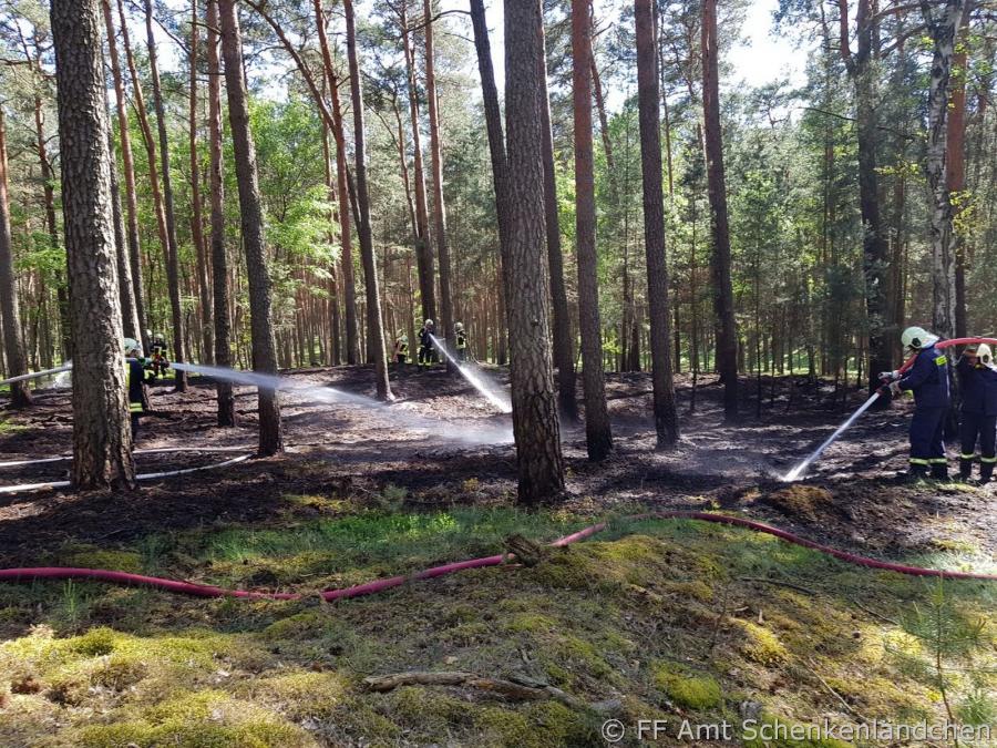 Foto der Galerie: Einsatz Nr. 23/2018 - B:Wald-Gross/WSP
