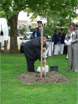 Peter B&ouml;hm beim Pflanzen des aus Bickenbach mitgebrachten Mandelb&auml;umchens,das er danach auch noch mit Wasser aus dem Landbach angoss  (Bild vergr&ouml;&szlig;ern)
