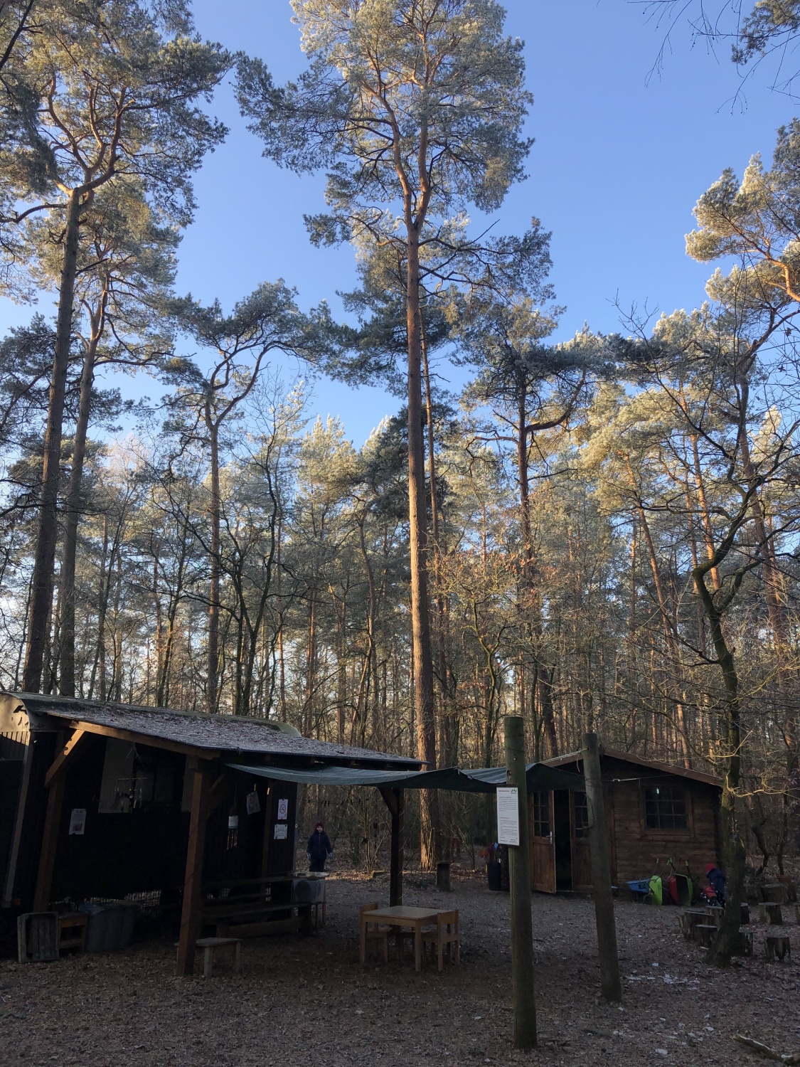 Kalter blauer Wintertag 