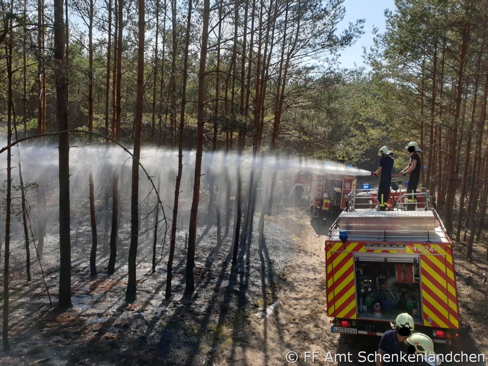 Foto der Galerie: Einsatz Nr. 24/2019 - B:Wald-Gross/WSP