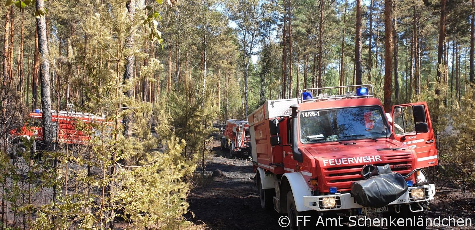 Foto der Galerie: Einsatz Nr. 50/2019 - B:Wald-Gross/WSP