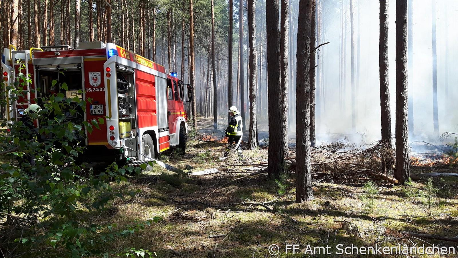 Foto der Galerie: Einsatz Nr. 59/2019 - B:Wald-Gross/WSP