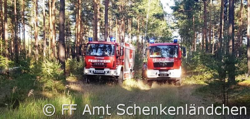 Foto der Galerie: Einsatz Nr. 60/2019 - B:Wald-Gross/WSP
