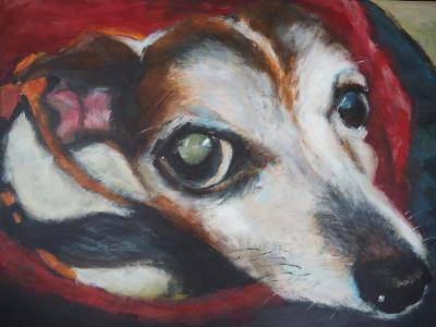 Vorschaubild: Menschenfreund, 50x60 cm Acryl auf Leinwand