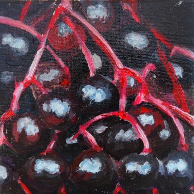Vorschaubild: Hollunder, 10x10 cm Acryl auf Leinwand