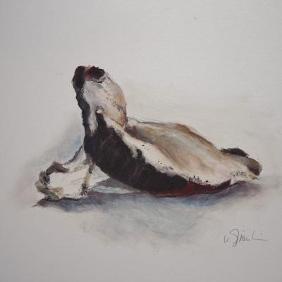 Vorschaubild: Pilz, 30x40cm Ölpastell
