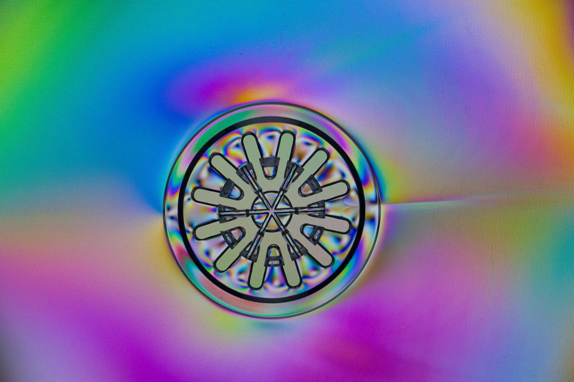 CD-H&uuml;lle  (Bild vergr&ouml;&szlig;ern)