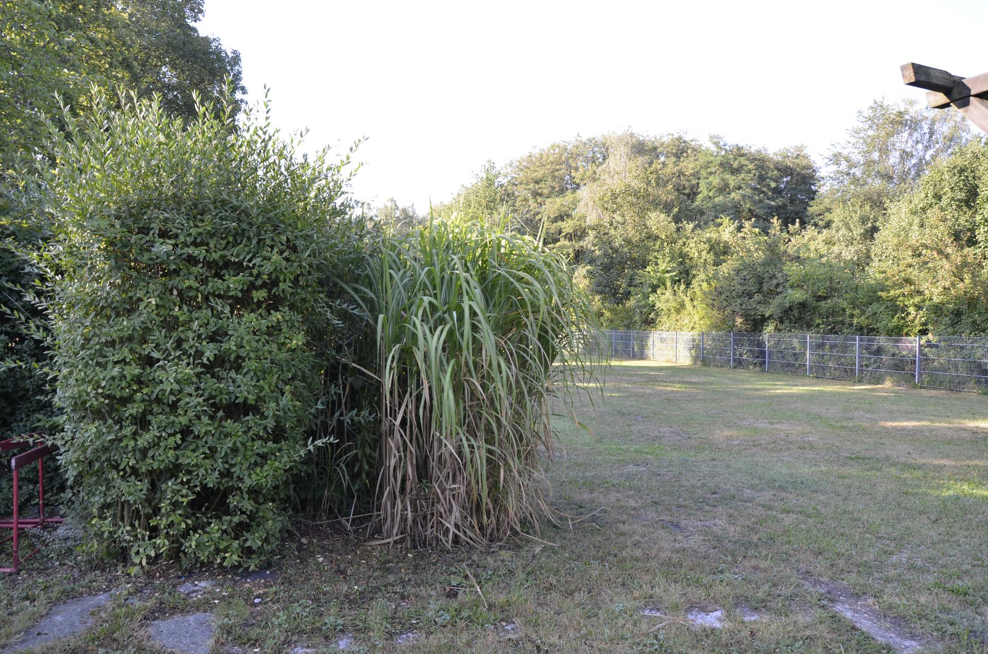 Foto der Galerie: Impressionen