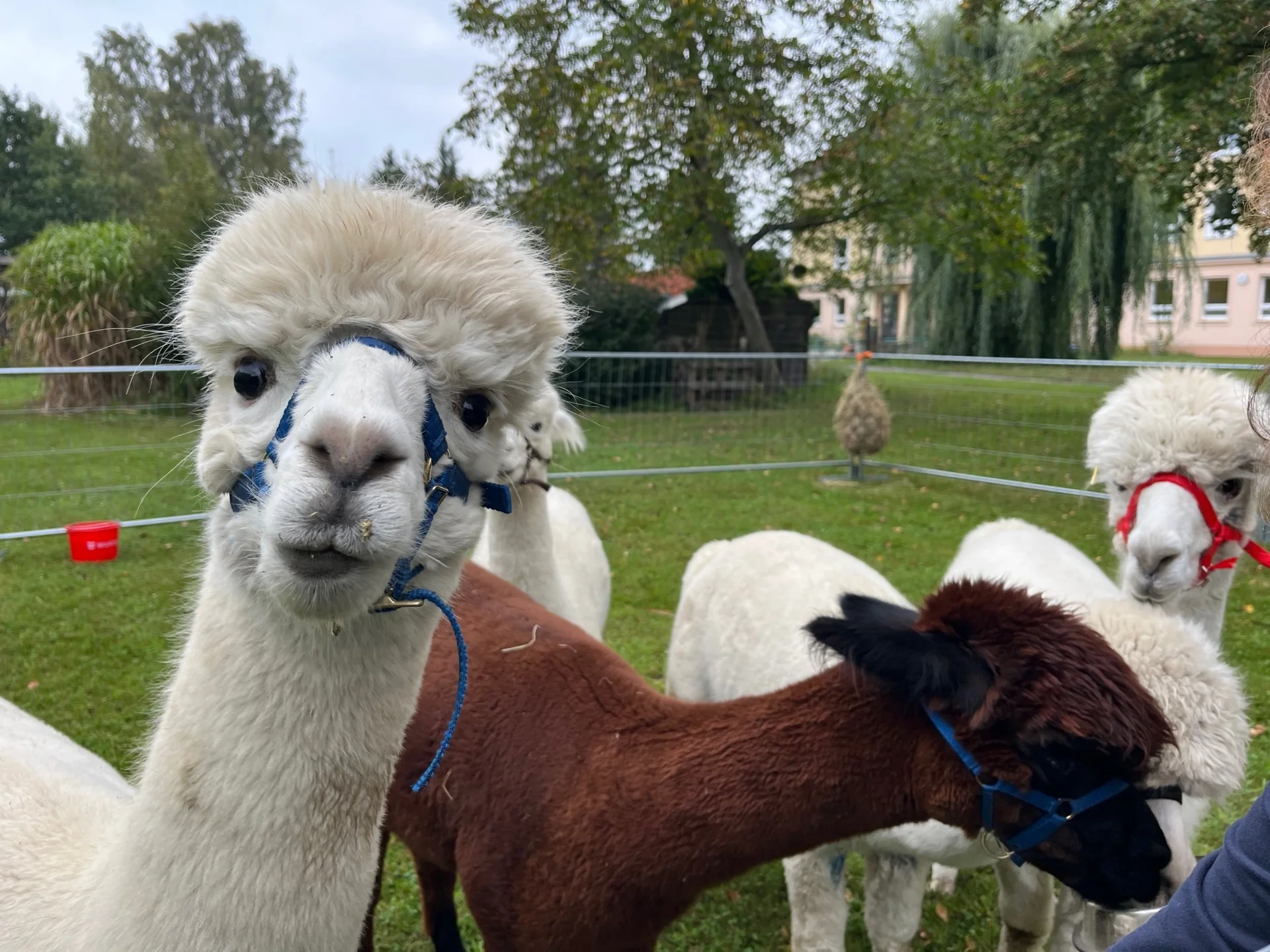 Foto der Galerie: Impressionen