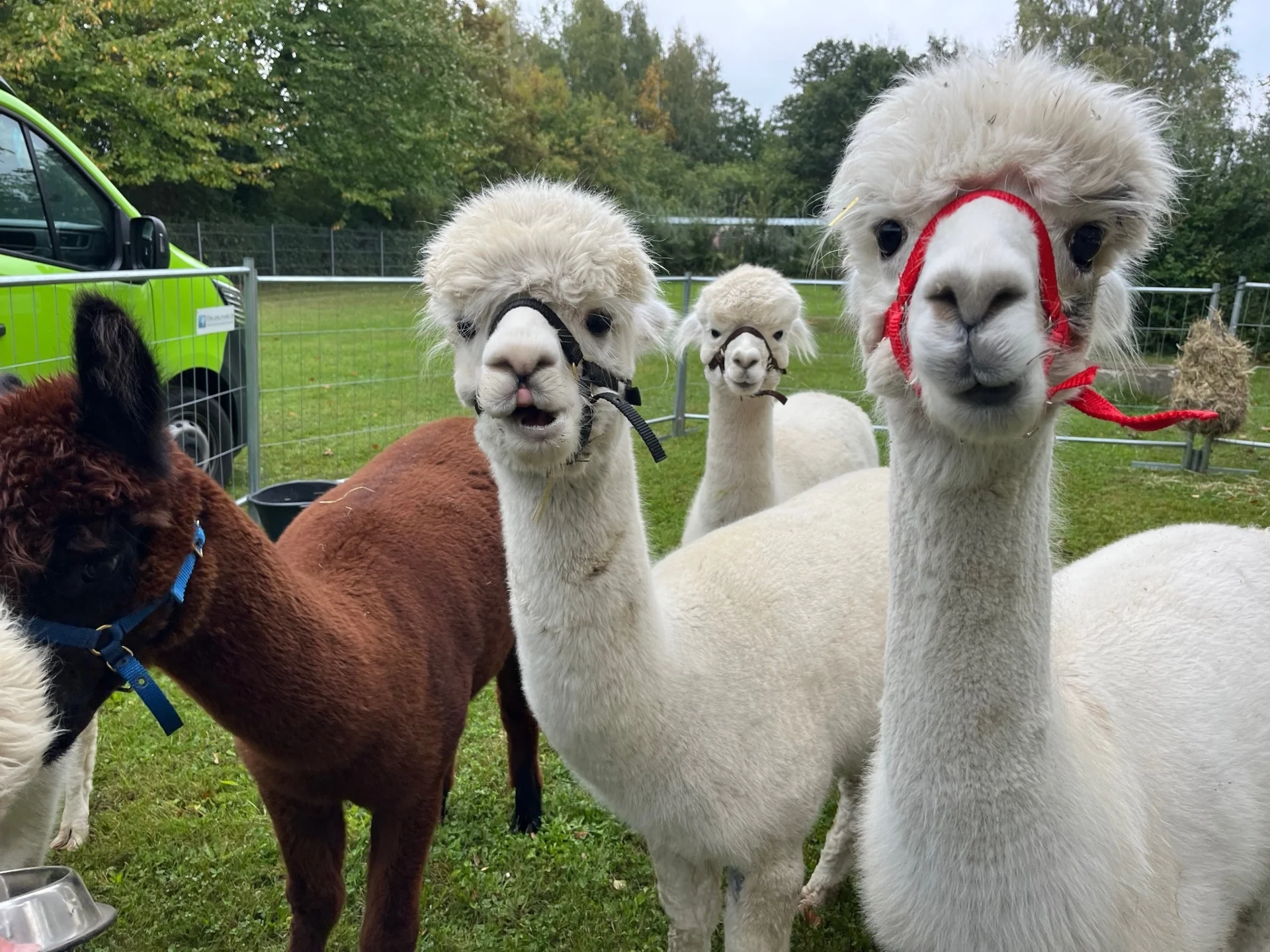 Foto der Galerie: Impressionen