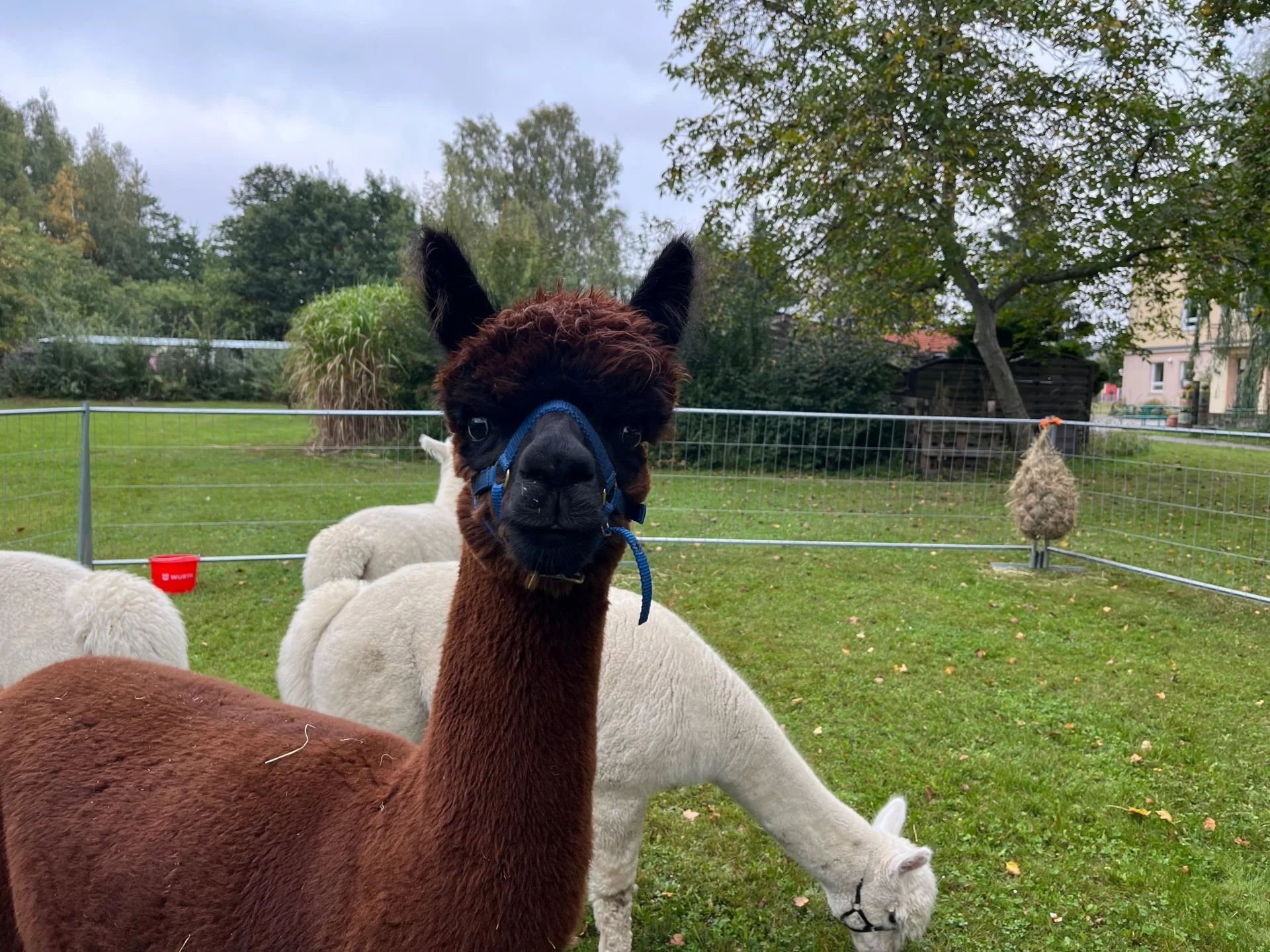 Foto der Galerie: Impressionen