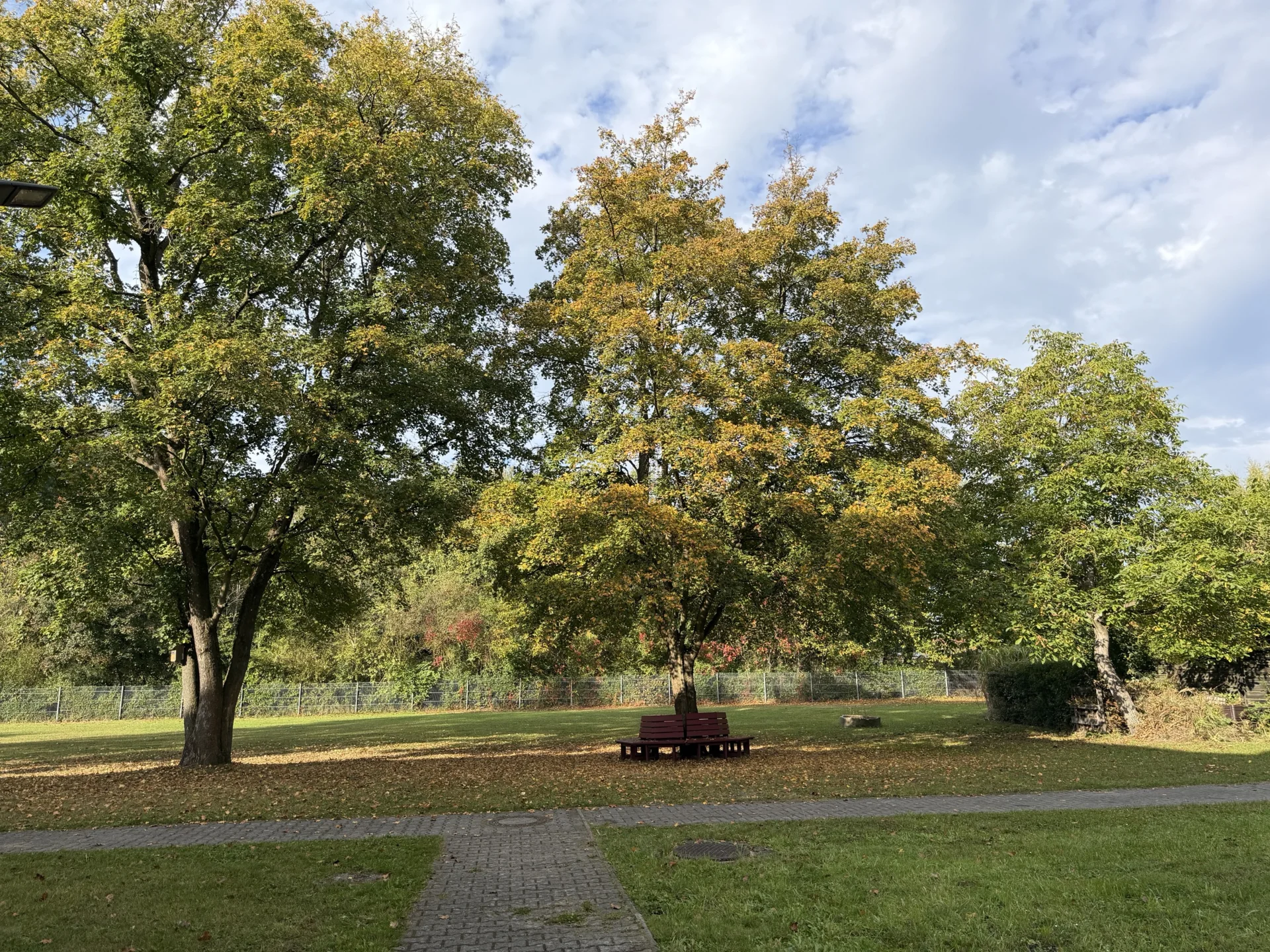Gro&szlig;er, gr&uuml;ner Schulhof mit viel Platz zum Entspannen und Verweilen in den Pausen. 