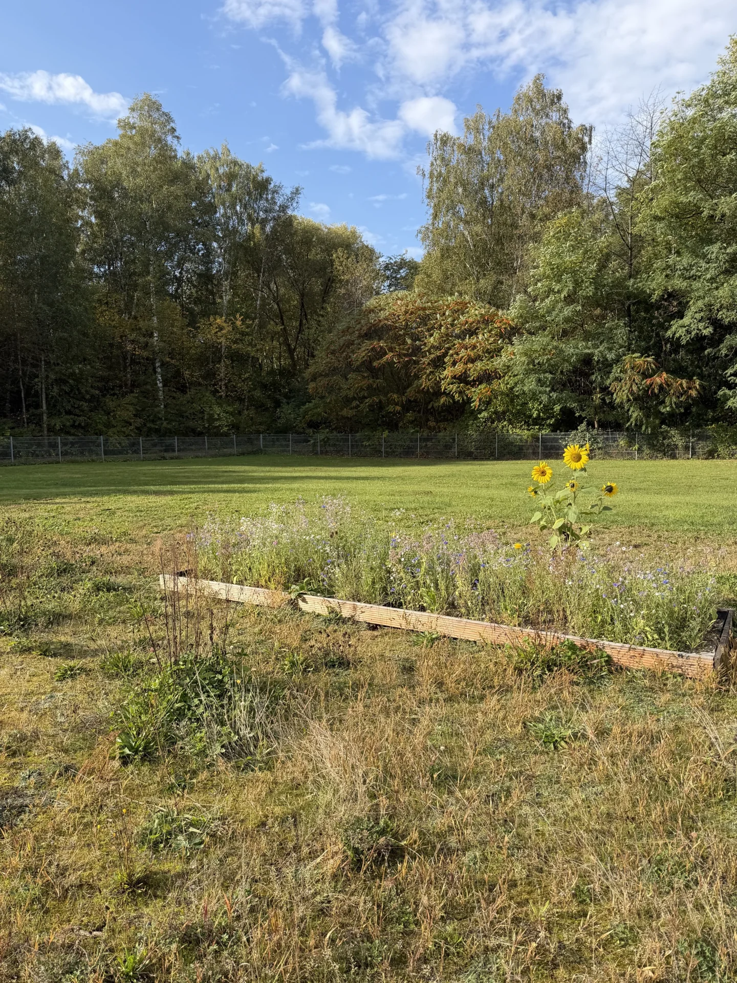 Unser Bienenlehrpfad vermittelt spannende Einblicke in die Welt der Bienen und ihre wichtige Bedeutung f&uuml;r die Natur. 