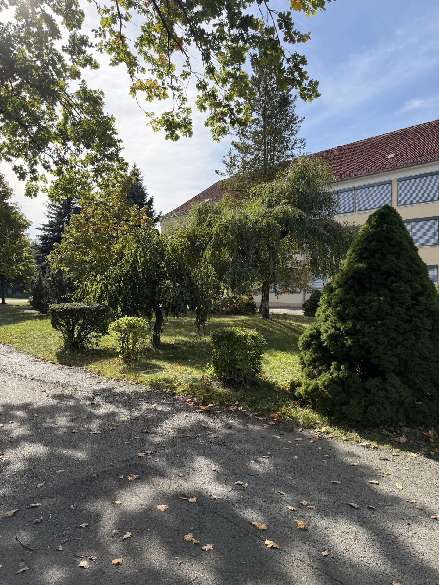 Gro&szlig;er, gr&uuml;ner Schulhof mit viel Platz zum Entspannen und Verweilen in den Pausen. 