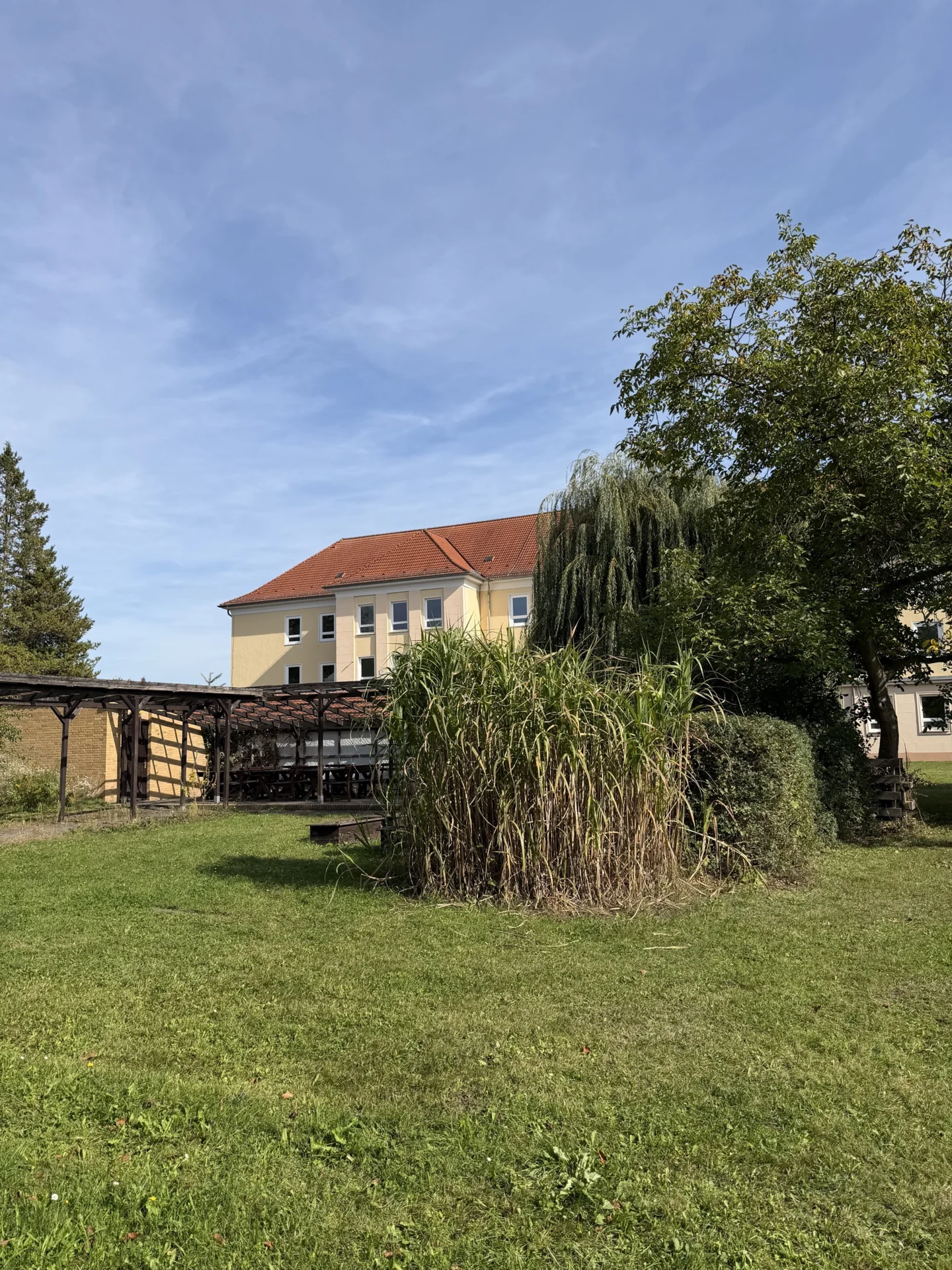 Gro&szlig;er, gr&uuml;ner Schulhof mit viel Platz zum Entspannen und Verweilen in den Pausen. 